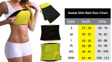 Slim Shaper Fitness Belt